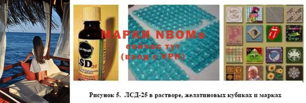 гидра Богородск