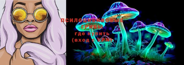кокаин Богданович