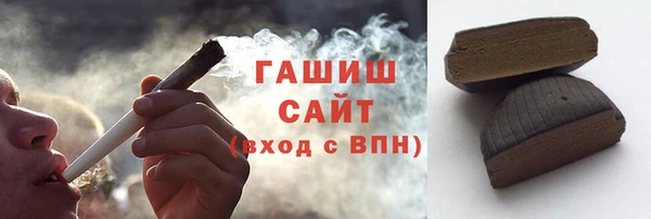 гидра Богородск