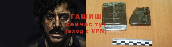гидра Богородск