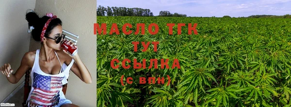 гидра Богородск