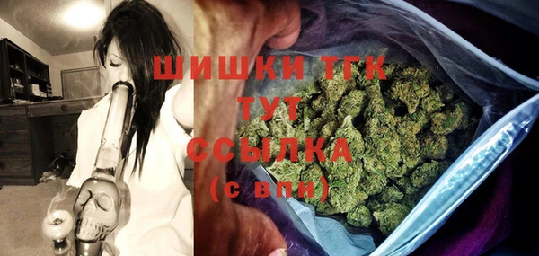 гидра Богородск