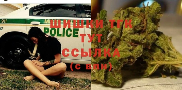 гидра Богородск