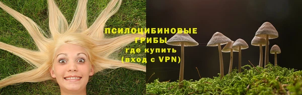 кокаин Богданович