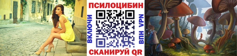 Псилоцибиновые грибы Cubensis Грозный