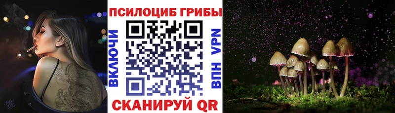 Галлюциногенные грибы Psilocybe  Грозный 